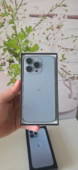 iPhone 13 Pro 256GB Gris