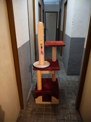 Torre y rascador para gatos