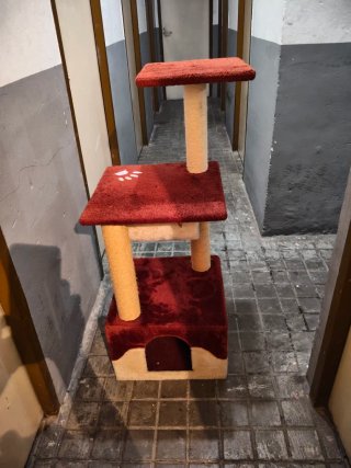 Torre y rascador para gatos