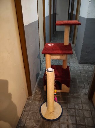 Torre y rascador para gatos