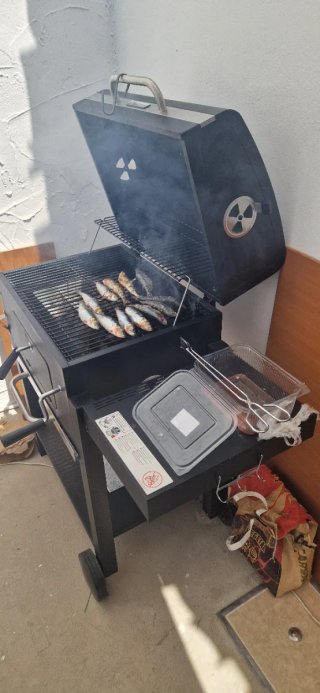 Barbacoa nueva de carbón negra