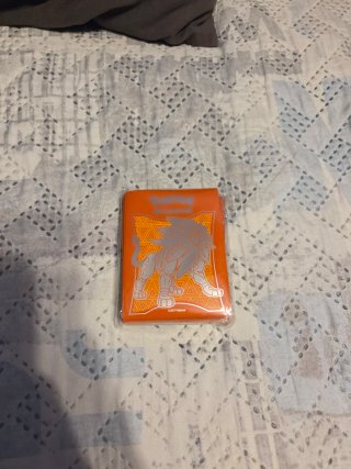 Fodere per carte Pokémon