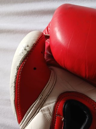 Guantes Boxeo Custom Fighter 12 oz