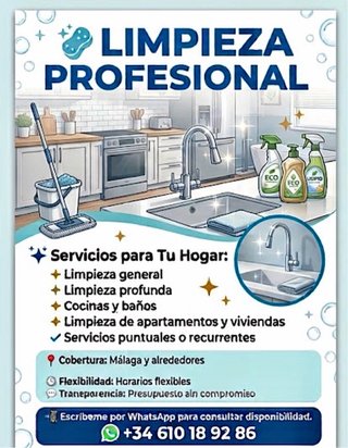 Limpieza profesional
