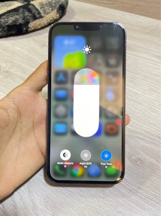iPhone 13 Pro Max Gris/Plata