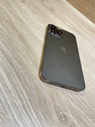 iPhone 13 Pro Max Gris/Plata