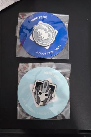 Lote 2 Pines Wootbox Fullmetal Alchemist Dr Who