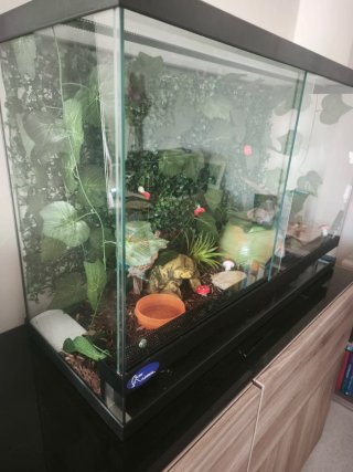 Terrario 81x51x31 cm