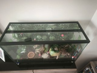 Terrario 81x51x31 cm