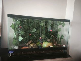 Terrario 81x51x31 cm