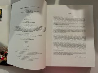 Libro FIESTAS DE ESPAÑA nuevo tapas duras