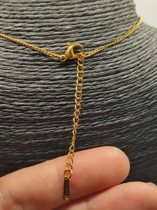 Colgante Tortuga Circonitas Granate y Acero