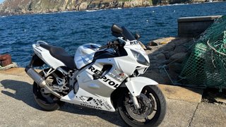 Honda CBR 600F4i