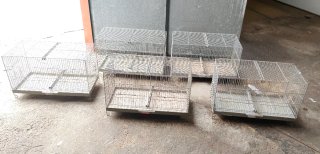 Lote 5 jaulas Pedros 60cm