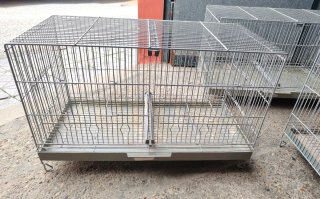 Lote 5 jaulas Pedros 60cm