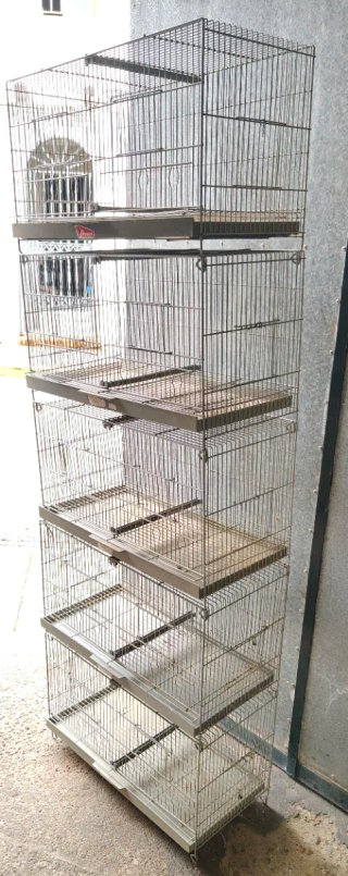 Lote 5 jaulas Pedros 60cm