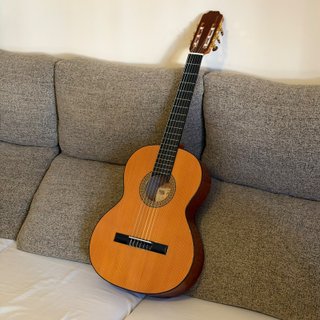 Guitarra Marce Admirada con funda