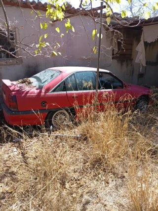 Opel Omega 1994