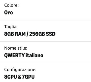 Macbook Air M1 2020 8GB 256GB ITA