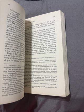 Historia de la vida del Buscón llamado Don Pabl...