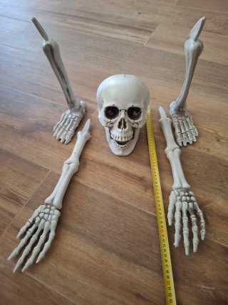 Esqueleto Halloween: Cabeza, Brazos y Piernas