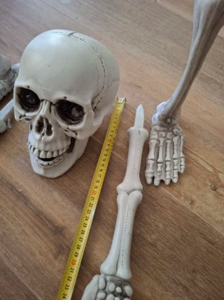 Esqueleto Halloween: Cabeza, Brazos y Piernas