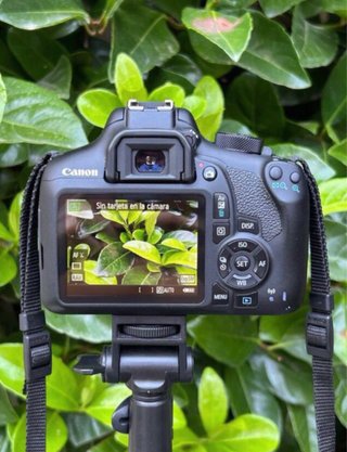 Canon EOS 1300D + Canon 18-55mm