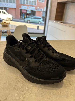 Nike Pegasus running