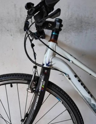 Bicicletta Trek Donna 28