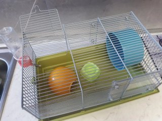 Jaula para Hamster