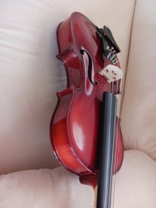 Viola Gunter Klaus 15.5