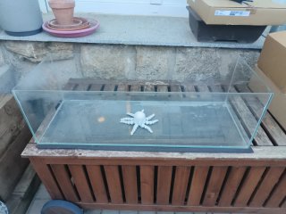 Acuario/Terrario de Cristal