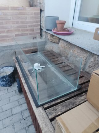Acuario/Terrario de Cristal