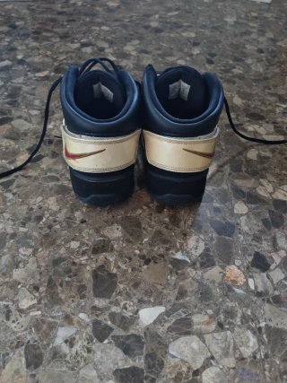Nike Zoom LeBron 2