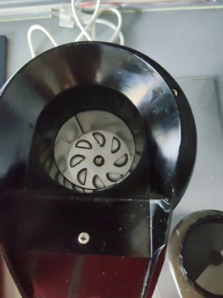 Palomitera Roja