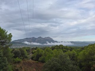 Cuidado de mayores y quehaceres