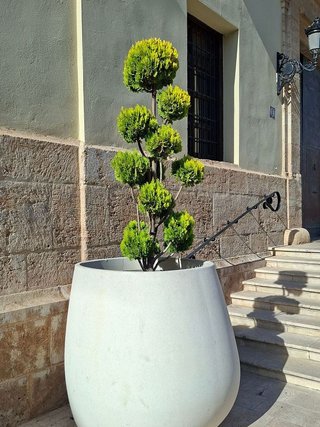 Terreno en venta en Centro Ciudad en Paterna