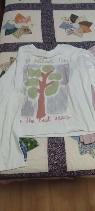 Lote 3 Camisetas Manga Larga Niña 13-14 Años