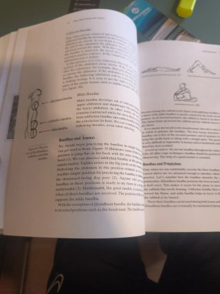 The heart of yoga : developing a personal practice