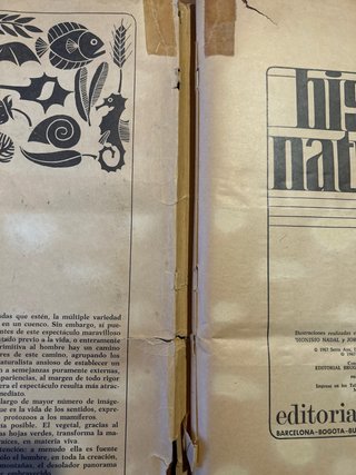 Álbum Historia Natural Completo