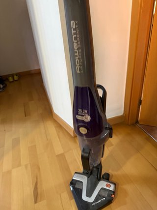 Aspiradora Escoba Rowenta 25.2V Lithium Pro