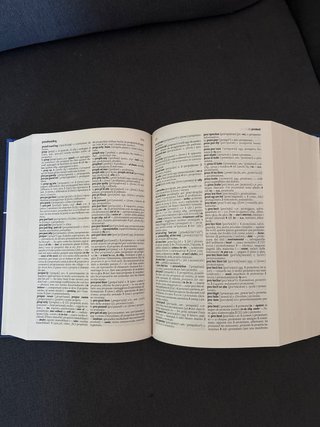 Dizionario maxi. Inglese. Italiano-inglese, ing...
