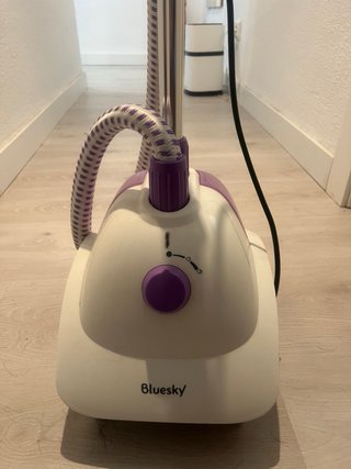 Plancha de Vapor Vertical Bluesky