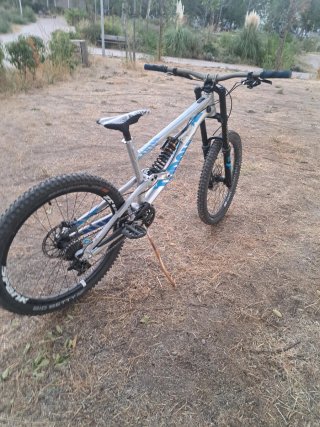 Canyon Torque DHX Rockzone 2017