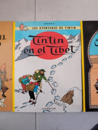 Lote libros Tintin