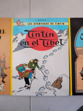 Lote libros Tintin