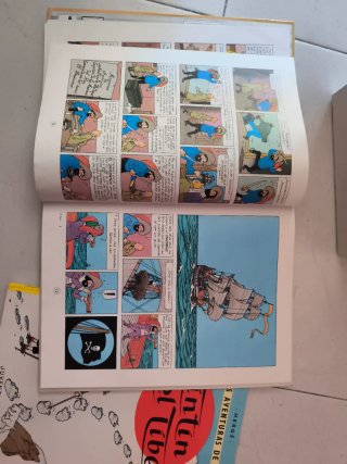 Lote libros Tintin