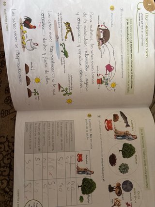 Ciencias de la Naturaleza : 2o Primaria Operaci...