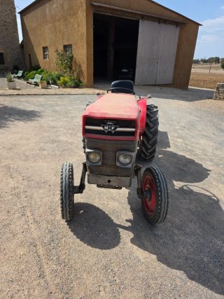 Tractor Massey Ferguson Viñedo Rojo
