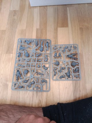 Exterminadores Marines Espaciales (Warhammer)